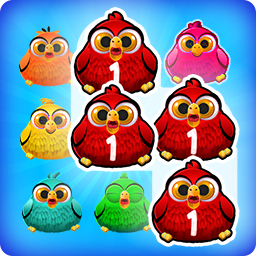 Crazy Birds Match